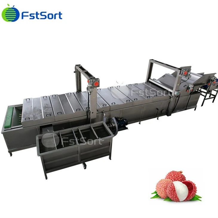 Lychee Cleaning Packaging Machine price