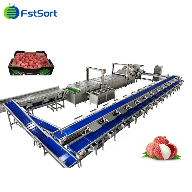 Lychee Cleaning Machine Packaging