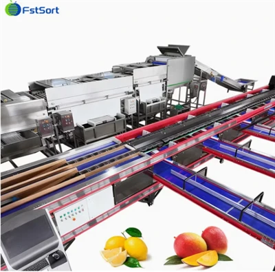 FstSort Laifọwọyi Mango iwuwo laini processing